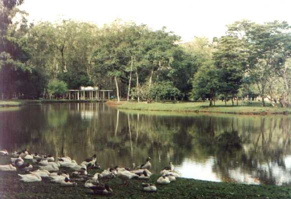 Caxambu - Minas Gerais - Foto: ABN News/J.H. de Oliveira Junior - Desde 1924: Agencia Brasileira de Noticias - Brazilian News Agency [Since 1924]