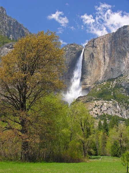 Yosemite Falls at Peak Season